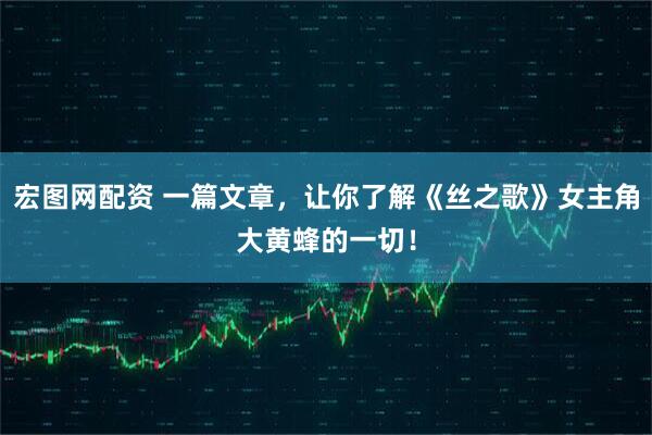 宏图网配资 一篇文章，让你了解《丝之歌》女主角大黄蜂的一切！