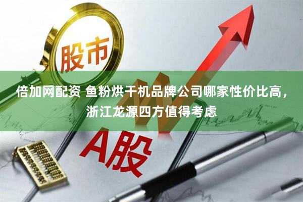 倍加网配资 鱼粉烘干机品牌公司哪家性价比高，浙江龙源四方值得考虑