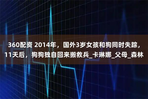 360配资 2014年，国外3岁女孩和狗同时失踪，11天后，狗狗独自回来搬救兵_卡琳娜_父母_森林