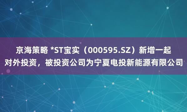 京海策略 *ST宝实（000595.SZ）新增一起对外投资，被投资公司为宁夏电投新能源有限公司
