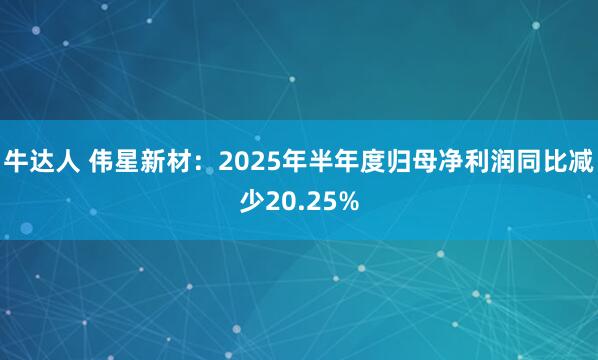牛达人 伟星新材：2025年半年度归母净利润同比减少20.25%